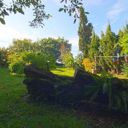 La Casa Del Bosco Villa Suances Eksteriør bilde